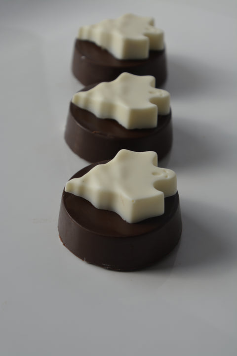 Chocolate Covered Ghost Cookies (Set of 12)
