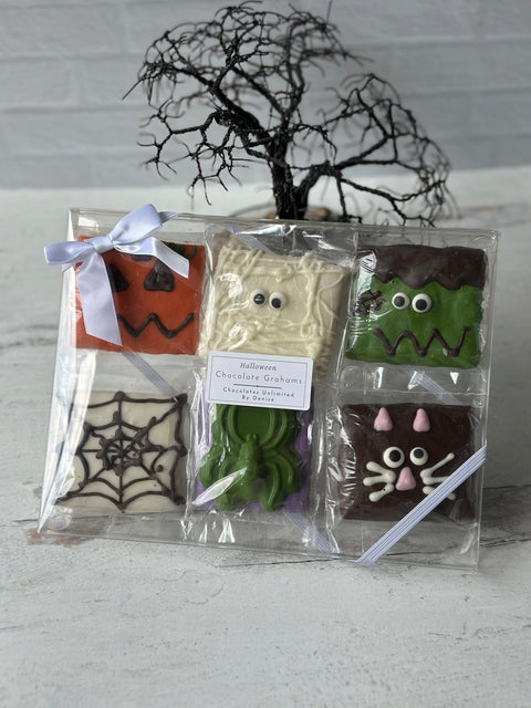 Fall Chocolate Covered Gram Cracker Set
