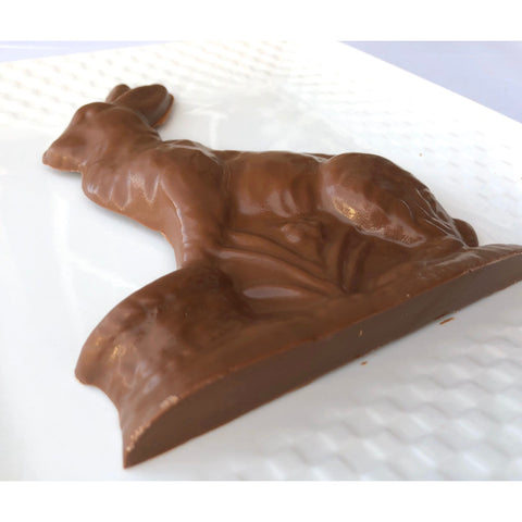 Solid Easter Bunny Chocolates (Set of 2)