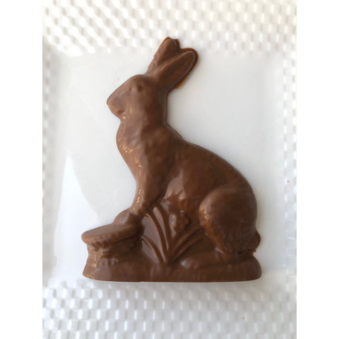 Solid Easter Bunny Chocolates (Set of 2)