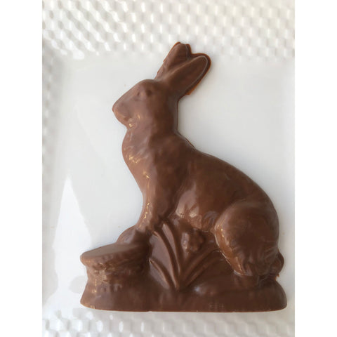 Solid Easter Bunny Chocolates (Set of 2)