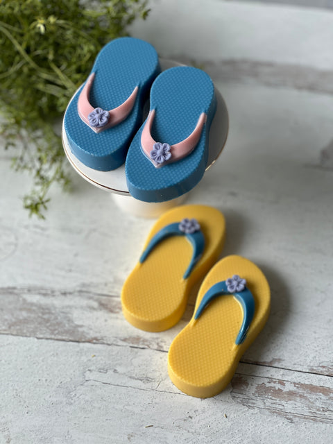 a pair of blue and yellow flip flops next to a plant