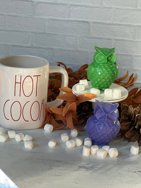 Breakable Chocolate Owls (Set of 2)