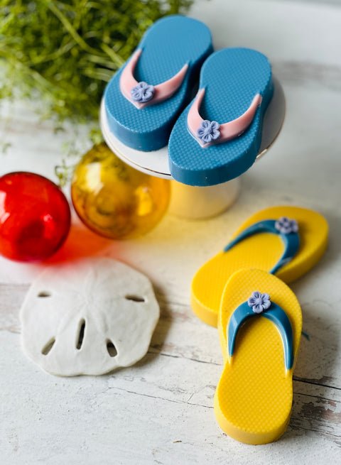 a pair of flip flops sitting next to a sand dollar