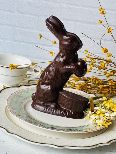 a chocolate bunny sitting on top of a plate