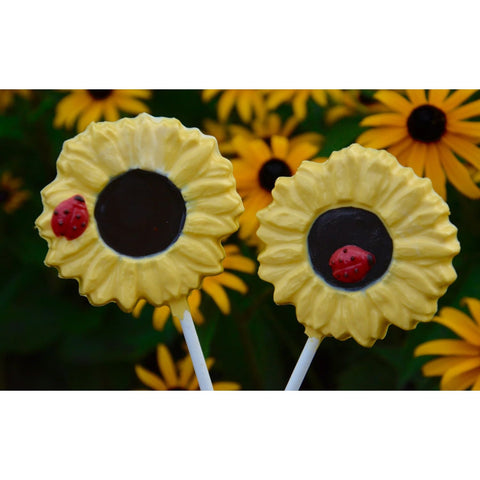 Chocolate Sunflower Lollipops (Set of 12)