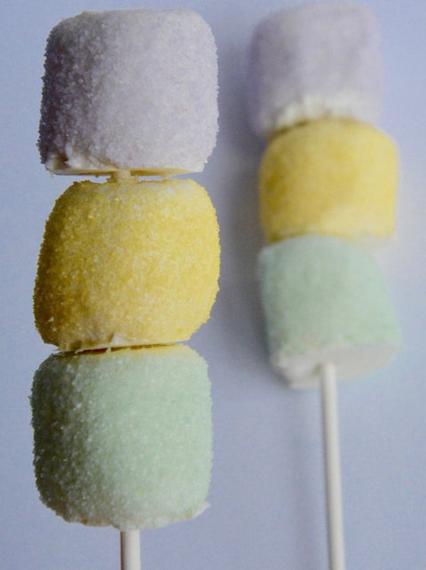 Chocolate Dipped Marshmallow Kabob (Set of 12)