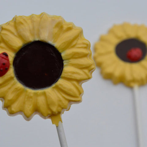 Chocolate Sunflower Lollipops (Set of 12)