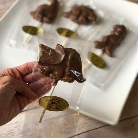 Chocolate Dinosaur Lollipops (Set of 12)