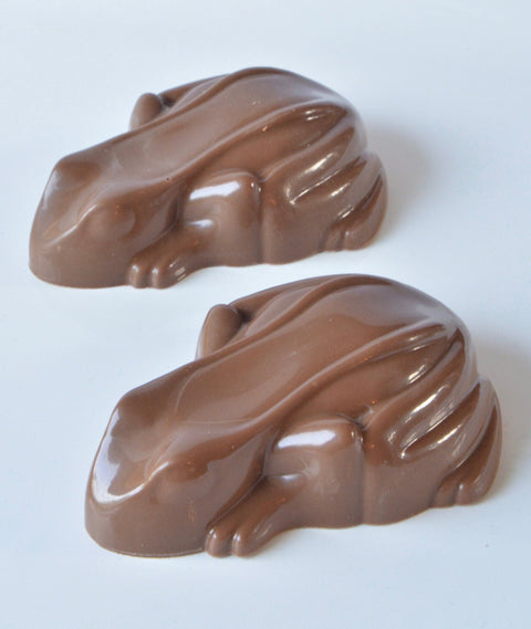 Chocolate Frogs (Set of 6)