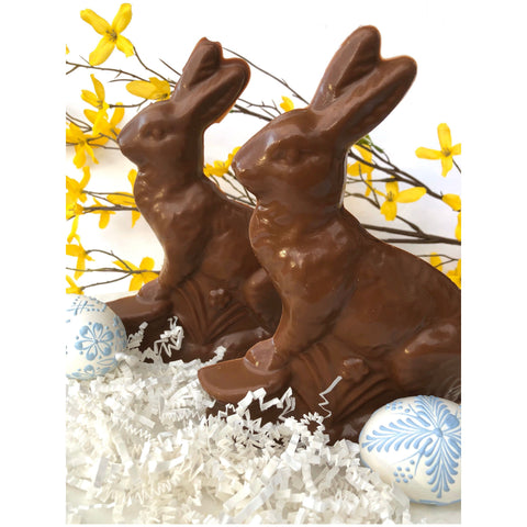 Solid Easter Bunny Chocolates (Set of 2)