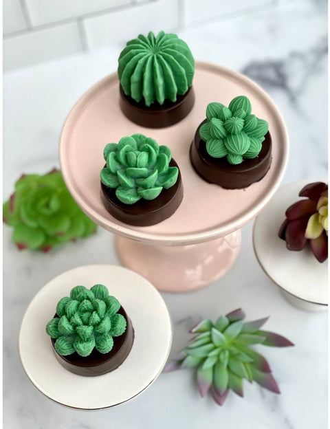 Succulent Cactus Chocolate Covered Oreos (Set of 12)