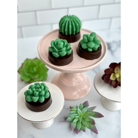 Succulent Cactus Chocolate Covered Oreos (Set of 12)