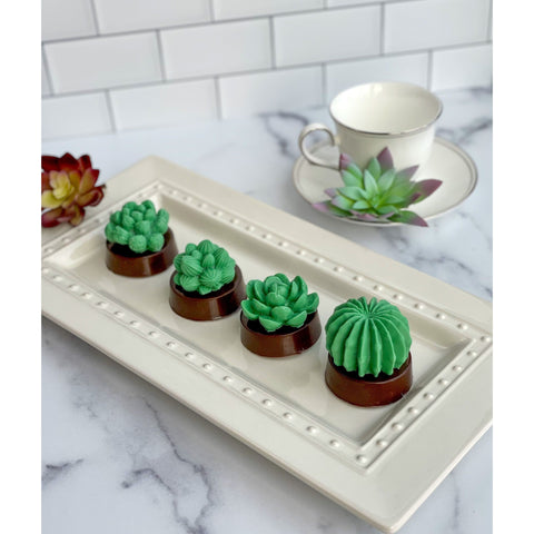 Succulent Cactus Chocolate Covered Oreos (Set of 12)