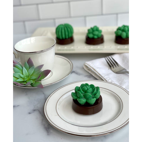 Succulent Cactus Chocolate Covered Oreos (Set of 12)