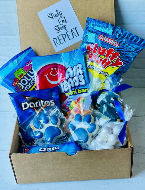 College Sweets Care Package (Penn State)