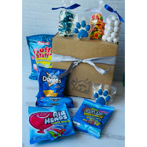 College Sweets Care Package (Penn State)